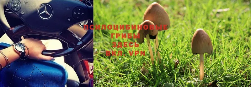 Галлюциногенные грибы MAGIC MUSHROOMS  МЕГА сайт  Заполярный 